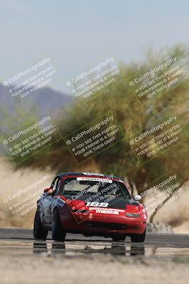 media/Oct-12-2025-Lucky Dog Racing (Sun) [[8adb5568ea]]/3-Third    Stint/4-Turn 4 (Tree of Life)/